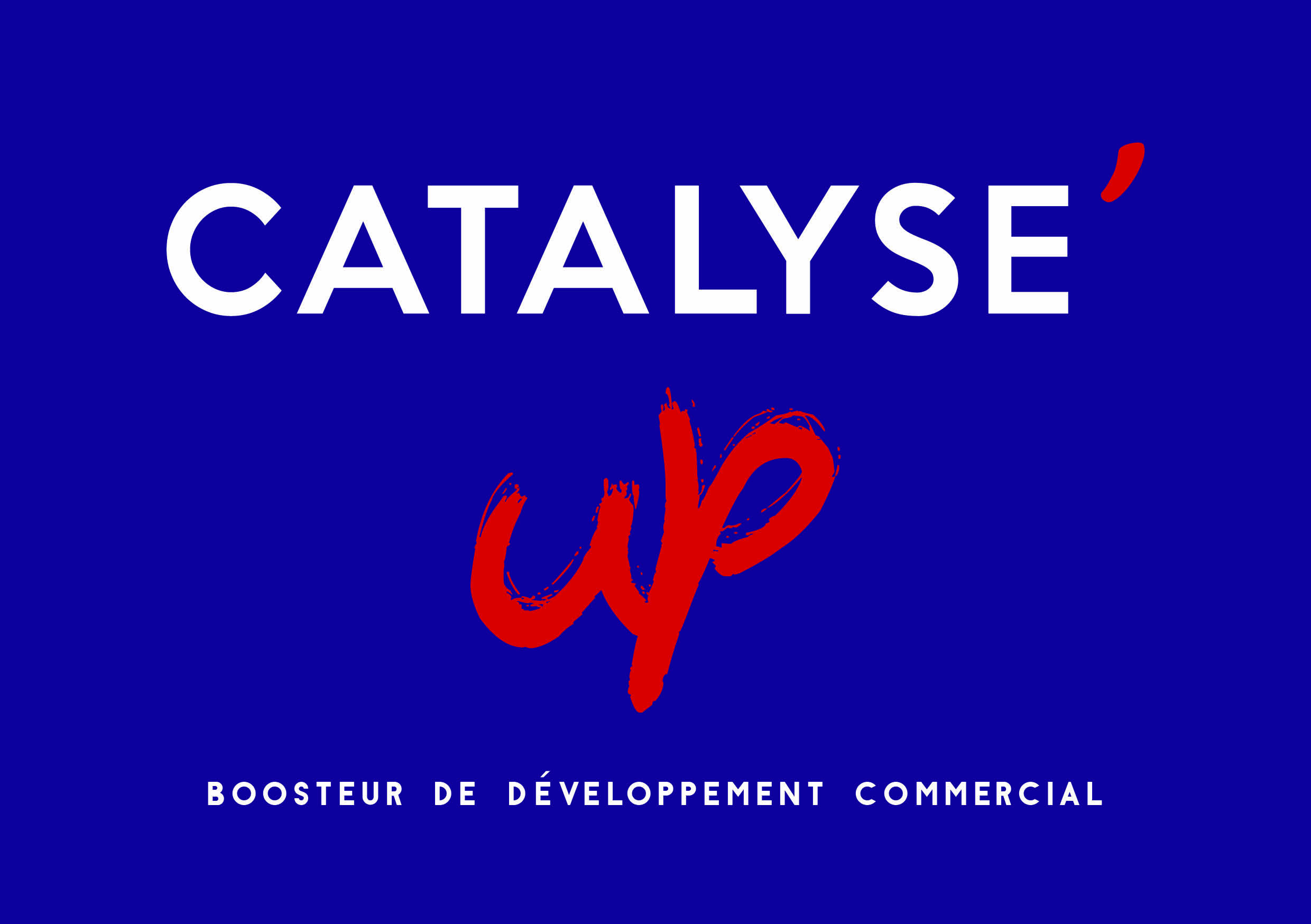 Logo Catalyse up developpement commercial